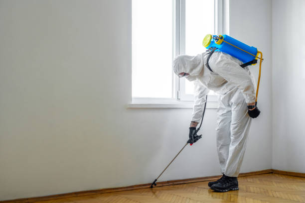 Pest Control for Hotels in Blue Jay, OH